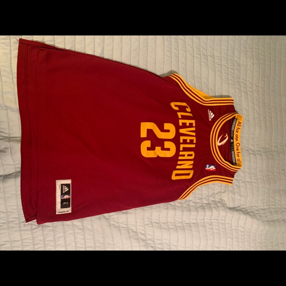 Lebron James Cleveland cavaliers jersey